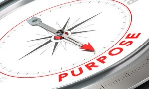 Natural Leadership Sally Kleyn Company Coach Ltd